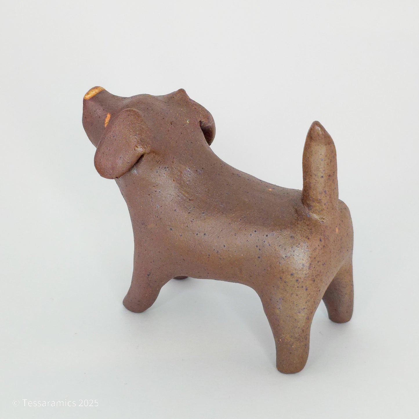 Chocolate Dog