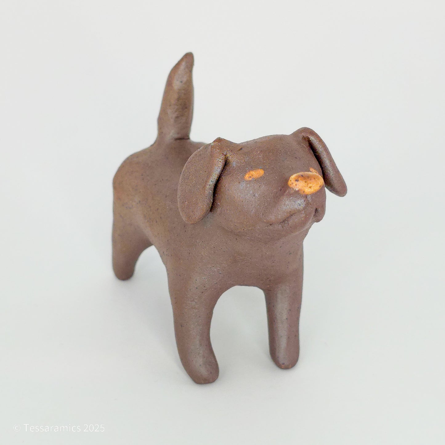 Chocolate Dog