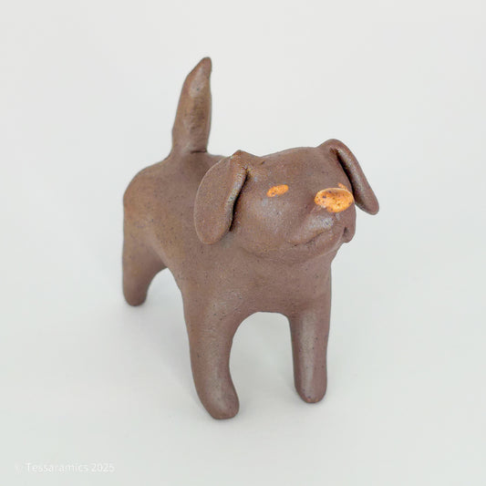 Chocolate Dog