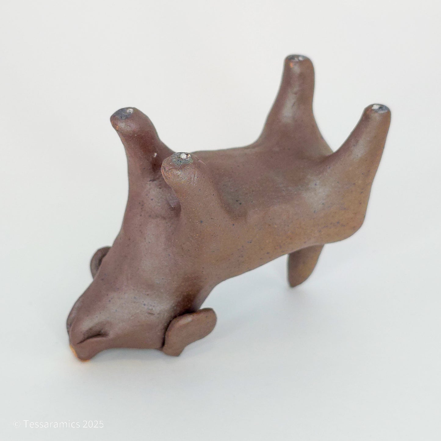 Chocolate Dog