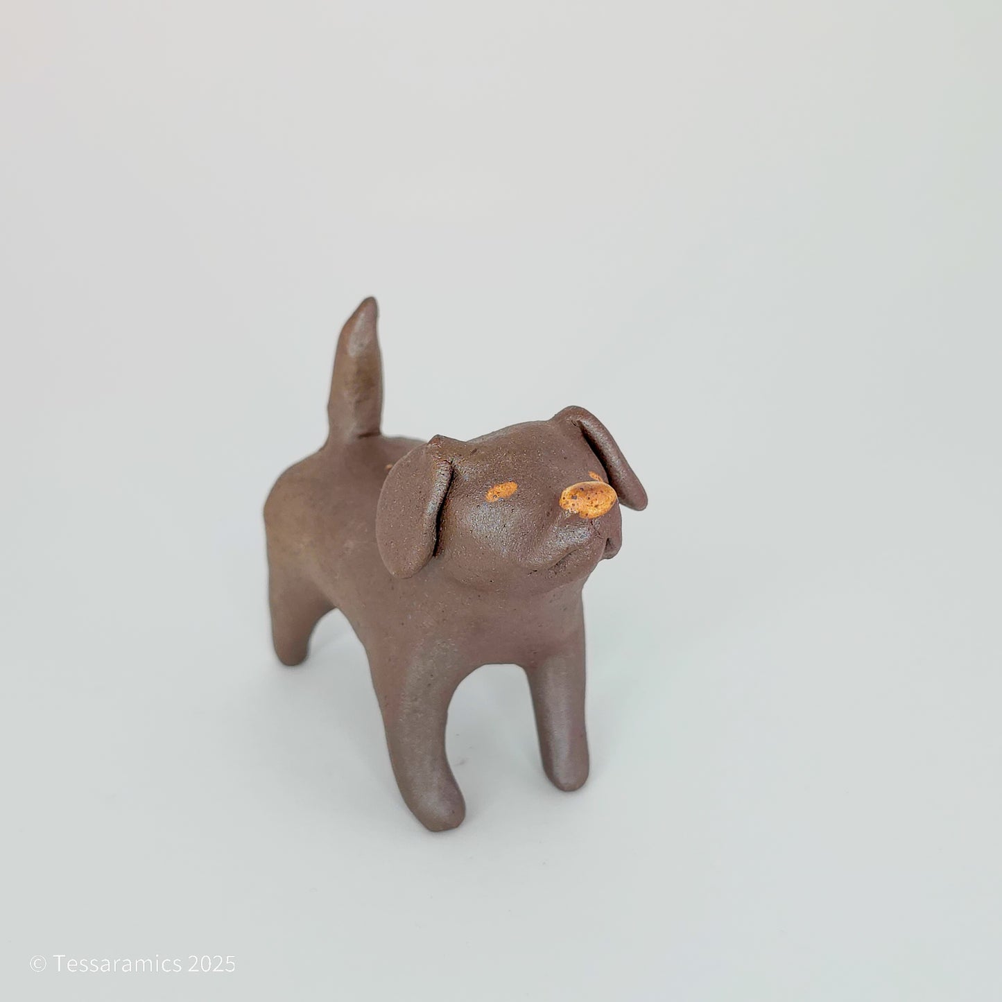 Chocolate Dog