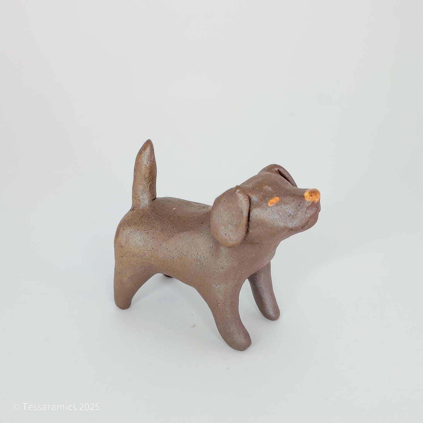 Chocolate Dog