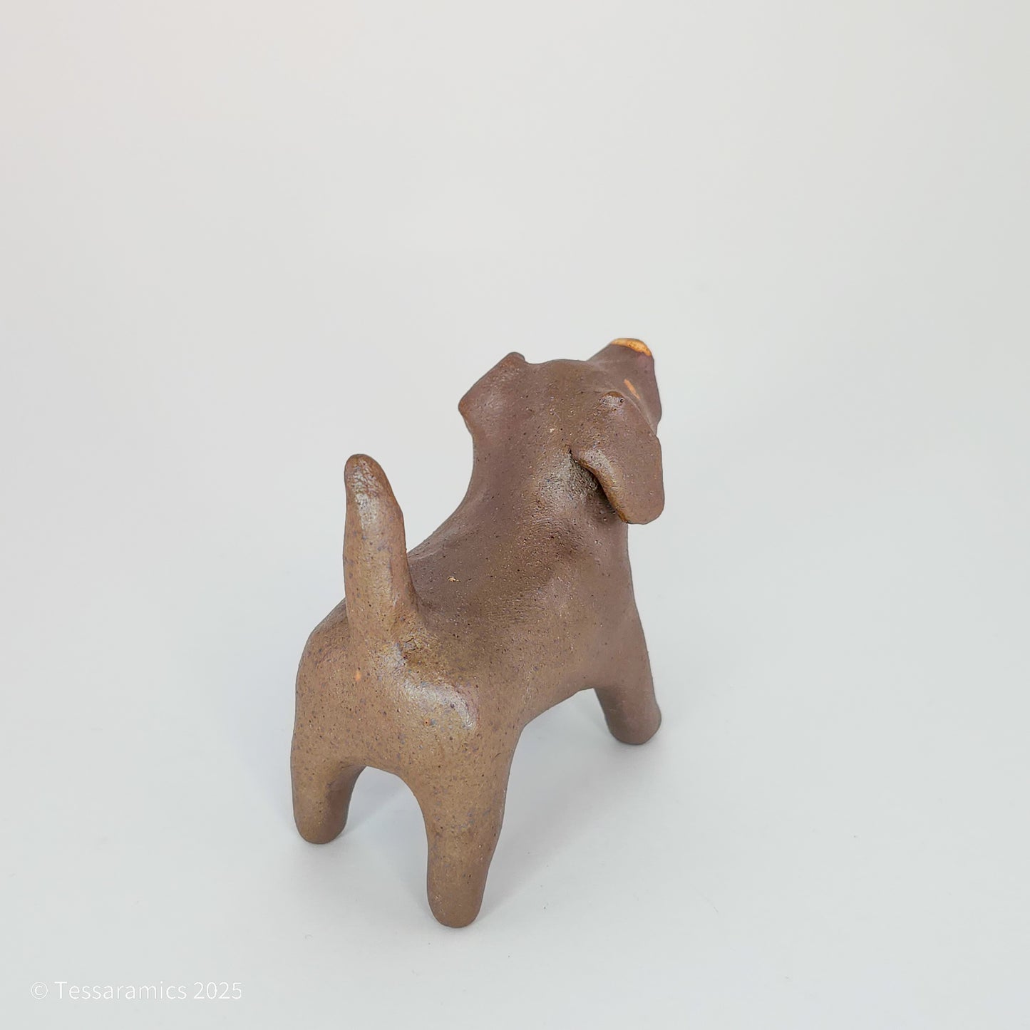 Chocolate Dog