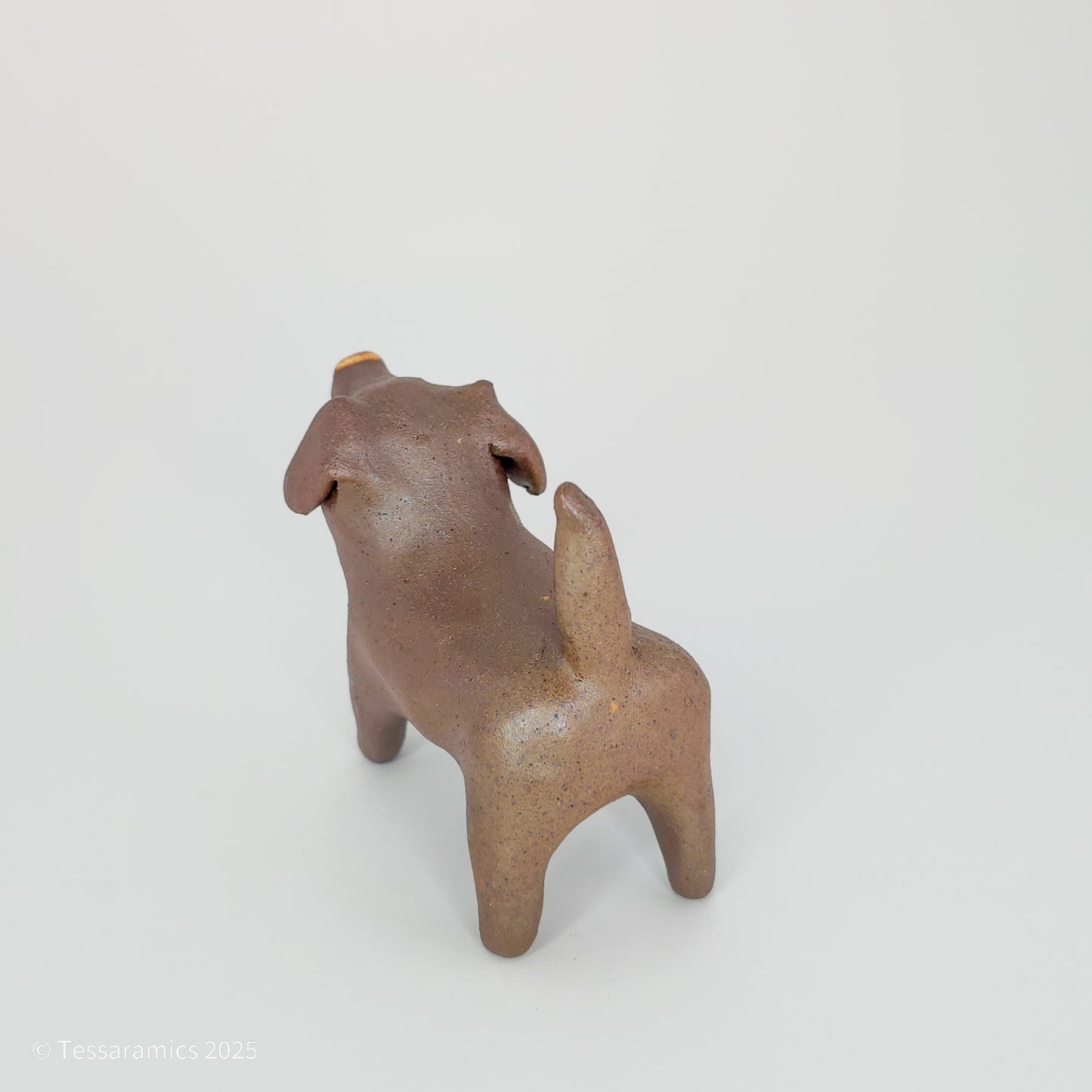 Chocolate Dog