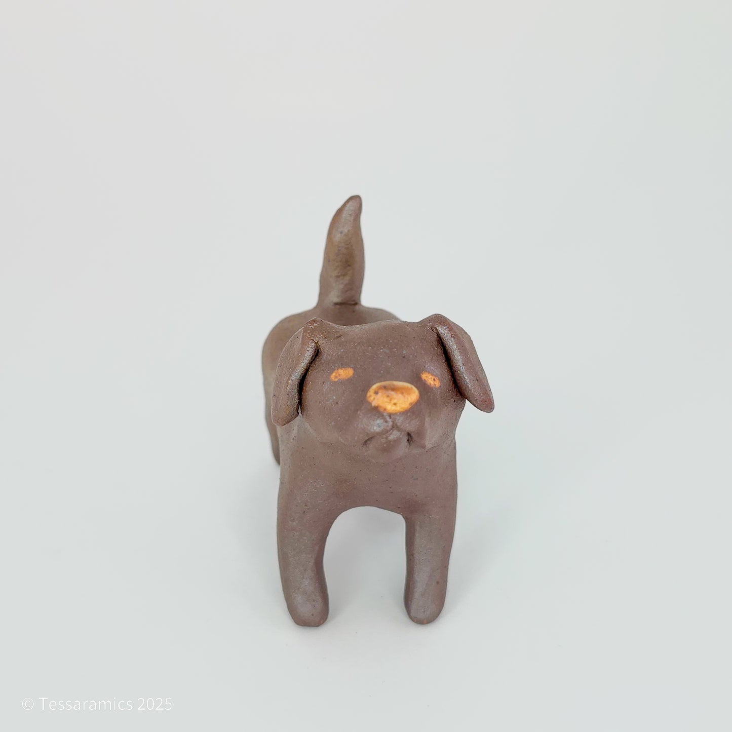 Chocolate Dog