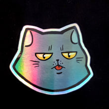 Load image into Gallery viewer, Holographic Grumpy Cat Stickers